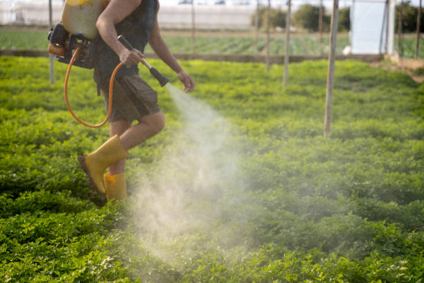 Best Best Pest Control Companies  in Miramar Beach, FL
