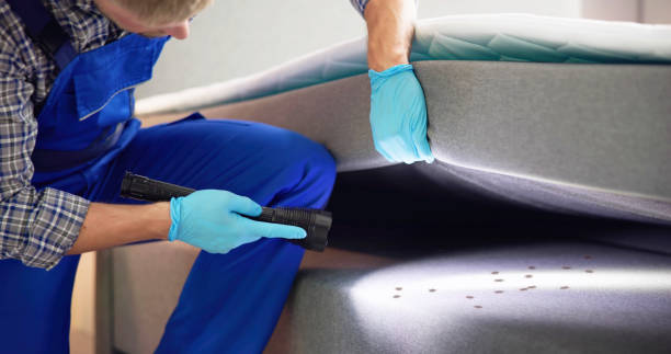 Trusted Miramar Beach, FL Pest Control Experts