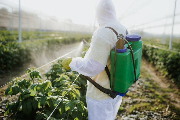  Miramar Beach, FL Pest Control Pros